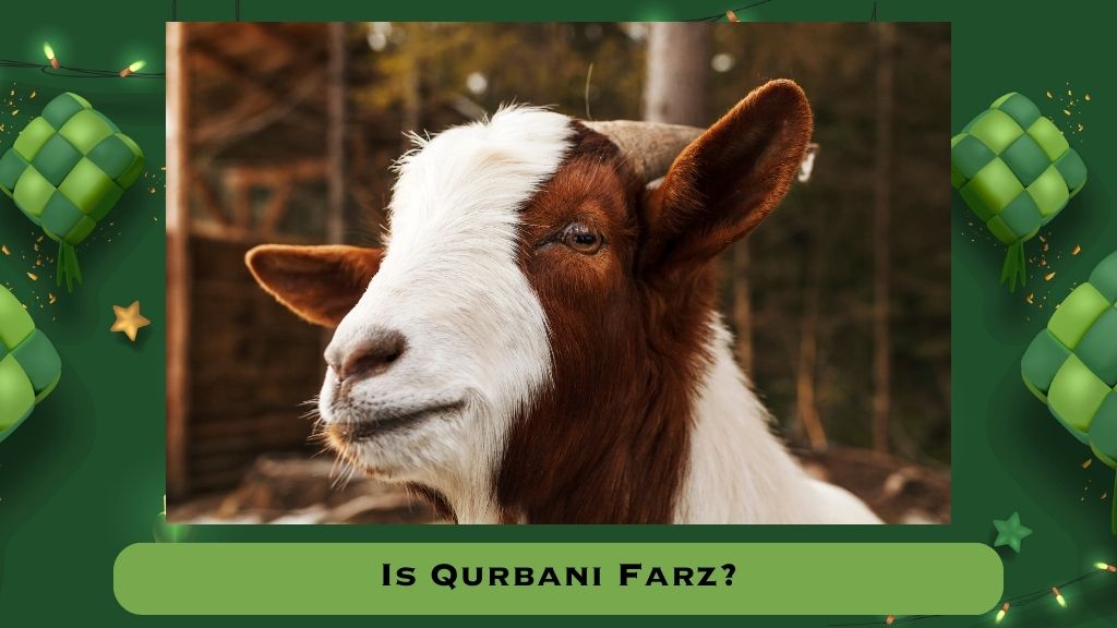 Is Qurbani Farz