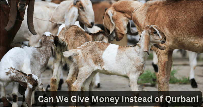 Can We Give Money Instead of Qurbani